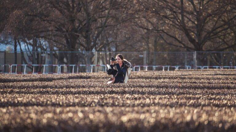 Agritourism: Experiencing Farm Life and Sustainable Agriculture