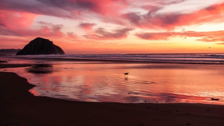 What Is The 11Xplay Customer Care Number For Complaints?